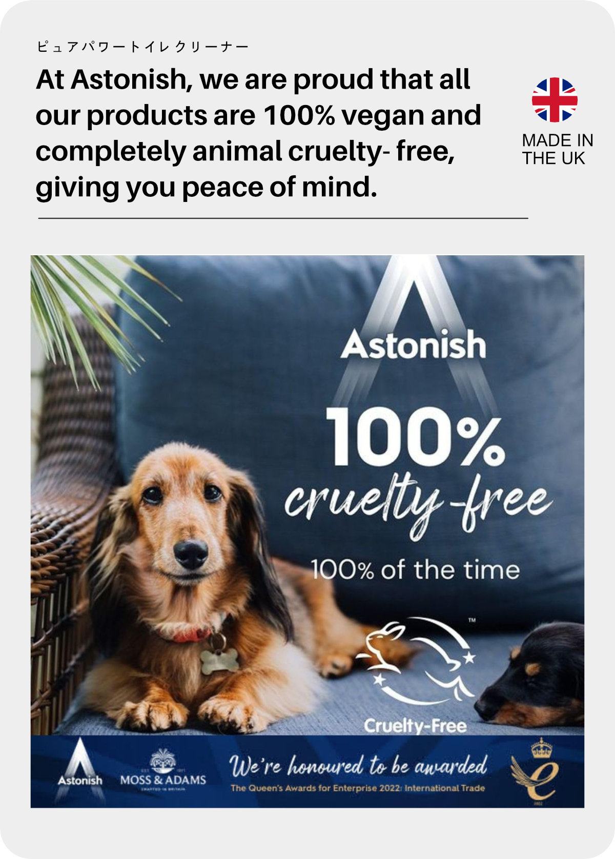 Astonish Pure Power 10X Toilet Gel-10